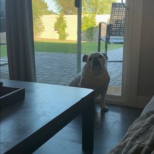 Meet your Posher, Barrett